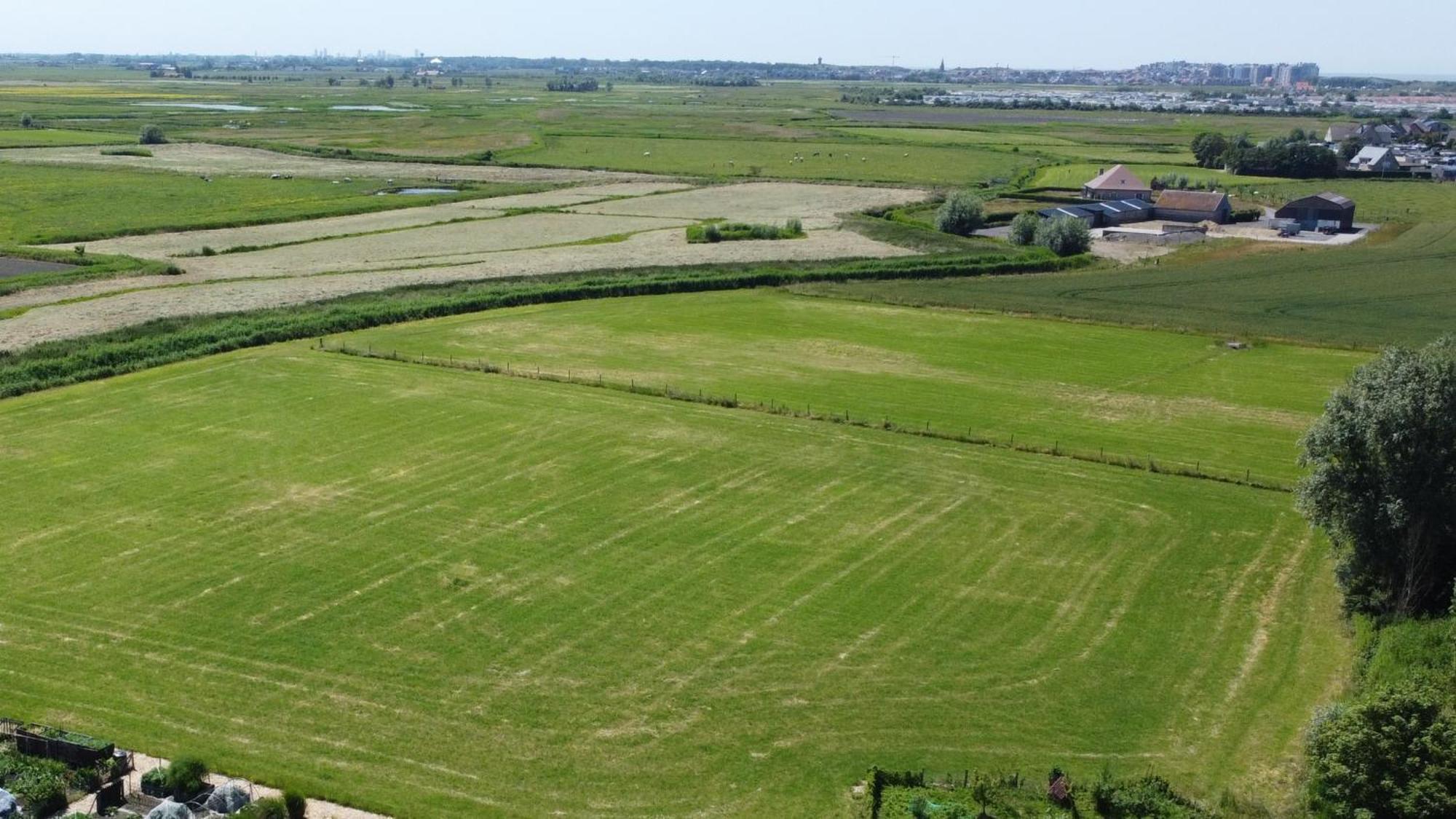 Vakantiehuis Casa La Vista - Puur Onthaasten Met Wijds Polderzicht *